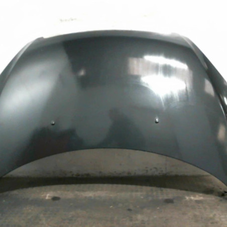 Capot PEUGEOT 307 Photo n°1