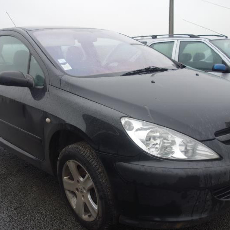 Capot PEUGEOT 307 Photo n°4