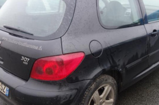 Capot PEUGEOT 307