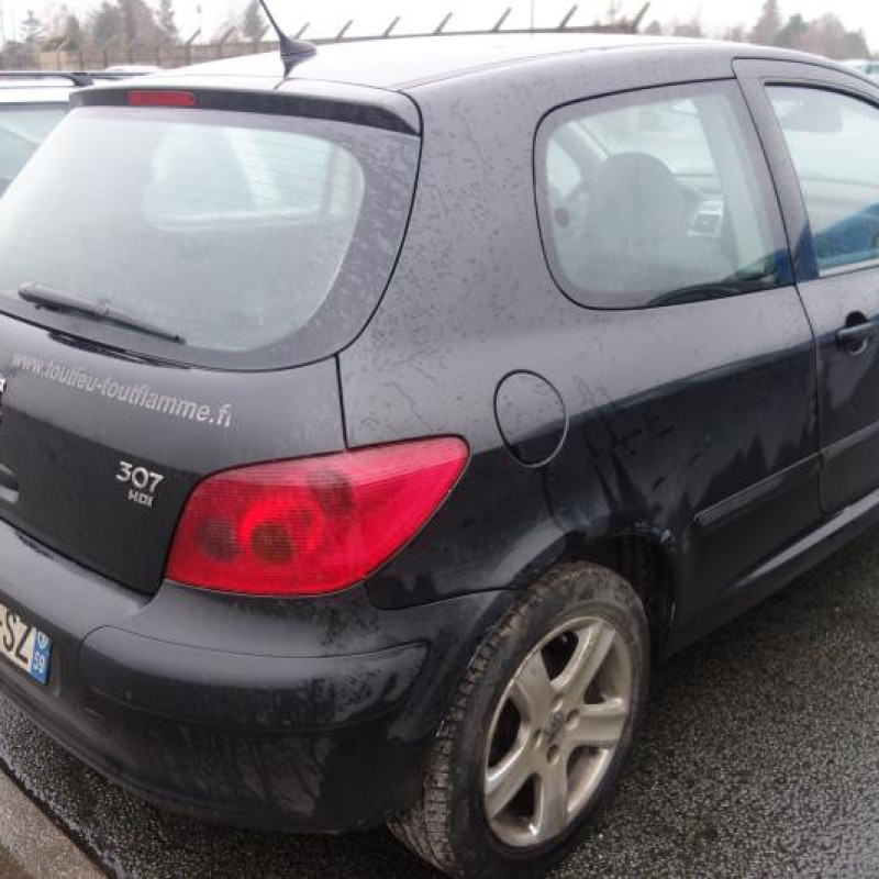 Capot PEUGEOT 307 Photo n°5