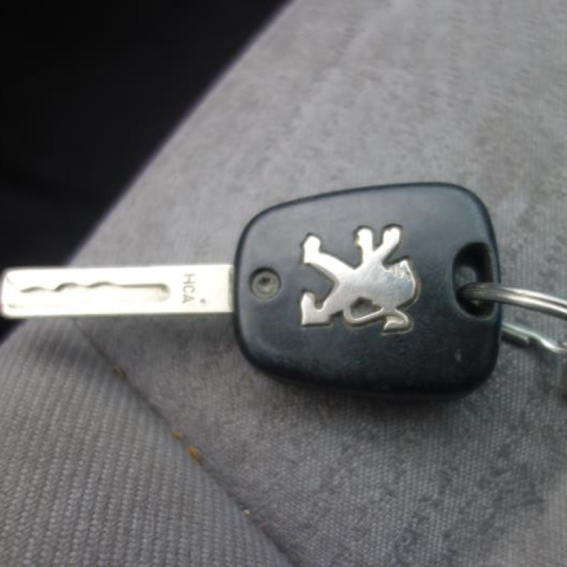 Capot PEUGEOT 307 Photo n°10