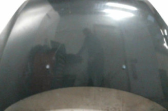 Capot PEUGEOT 307 Photo n°1