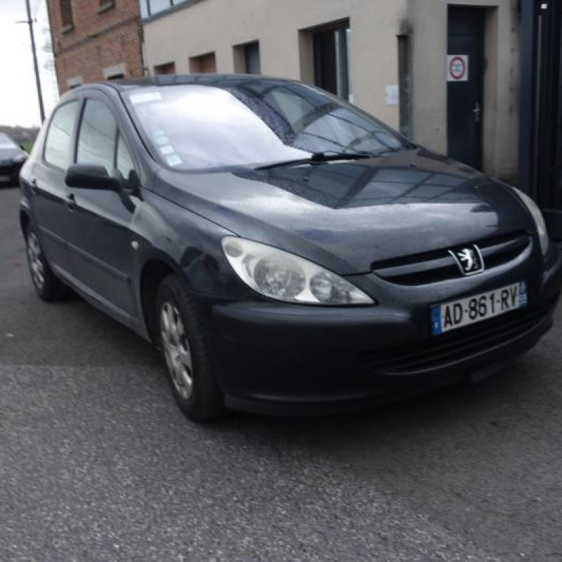 Capot PEUGEOT 307 Photo n°3