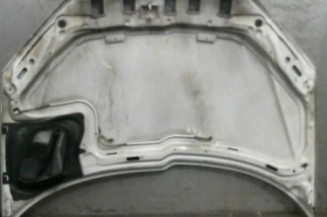 Capot PEUGEOT 206 Photo n°1