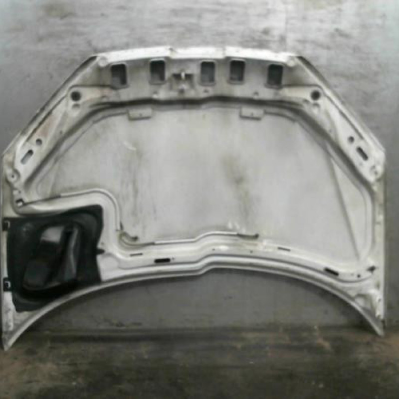 Capot PEUGEOT 206 Photo n°1