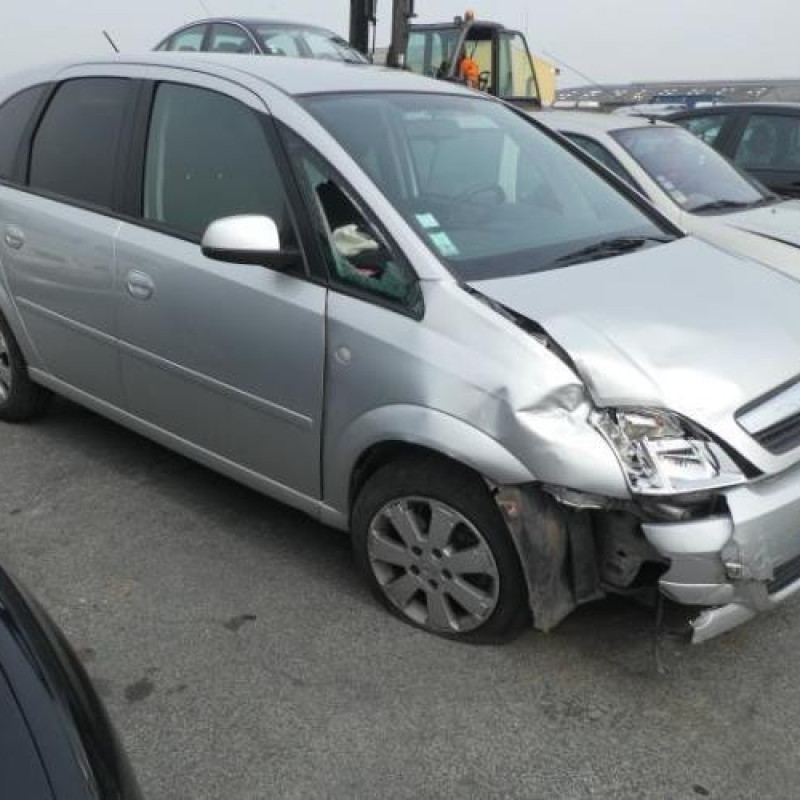 Porte arriere droit OPEL MERIVA A Photo n°6