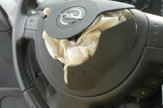 Porte arriere droit OPEL MERIVA A