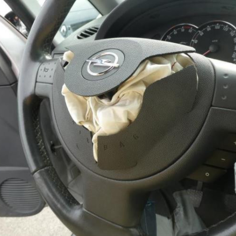 Porte arriere droit OPEL MERIVA A Photo n°9