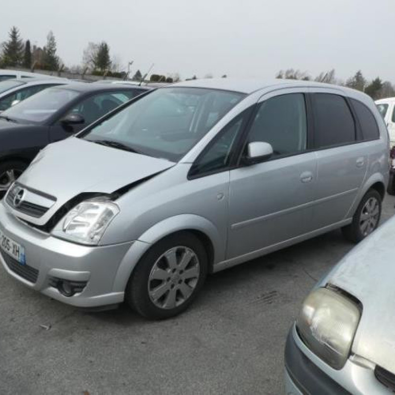 Porte arriere droit OPEL MERIVA A Photo n°12