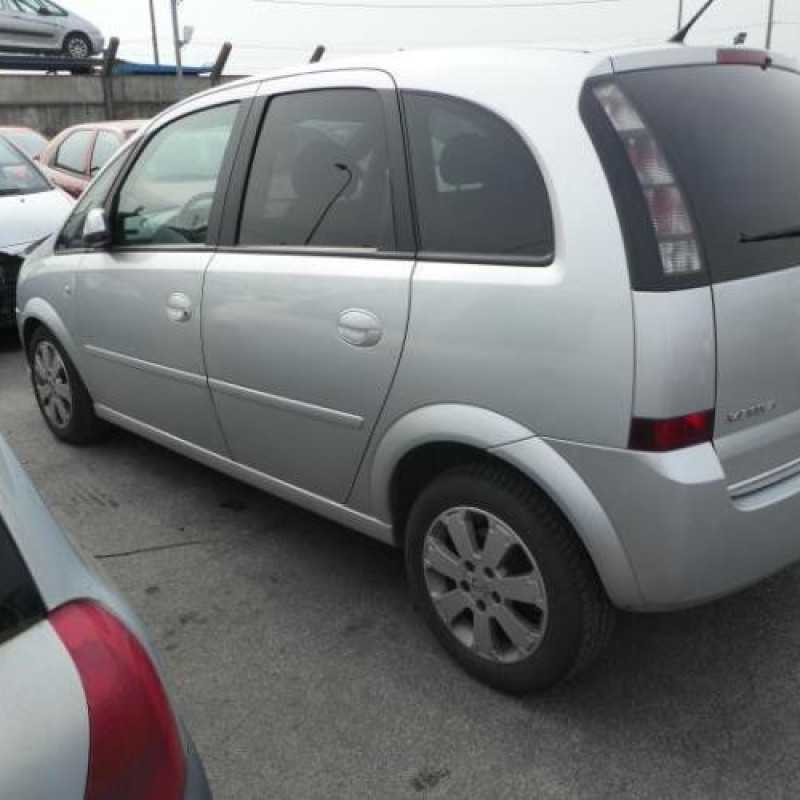 Porte arriere droit OPEL MERIVA A Photo n°14