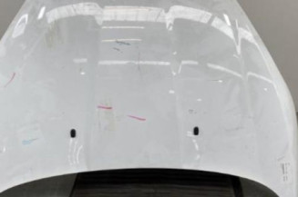 Capot FORD FIESTA Photo n°1