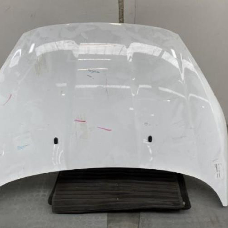 Capot FORD FIESTA Photo n°1