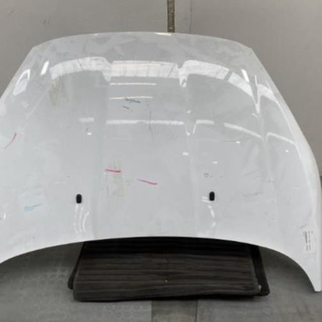 Capot FORD FIESTA Photo n°1