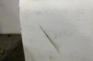 Porte avant droit NISSAN INTERSTAR 1