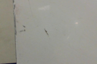 Porte avant droit NISSAN INTERSTAR 1