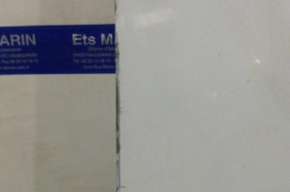 Porte avant droit NISSAN INTERSTAR 1