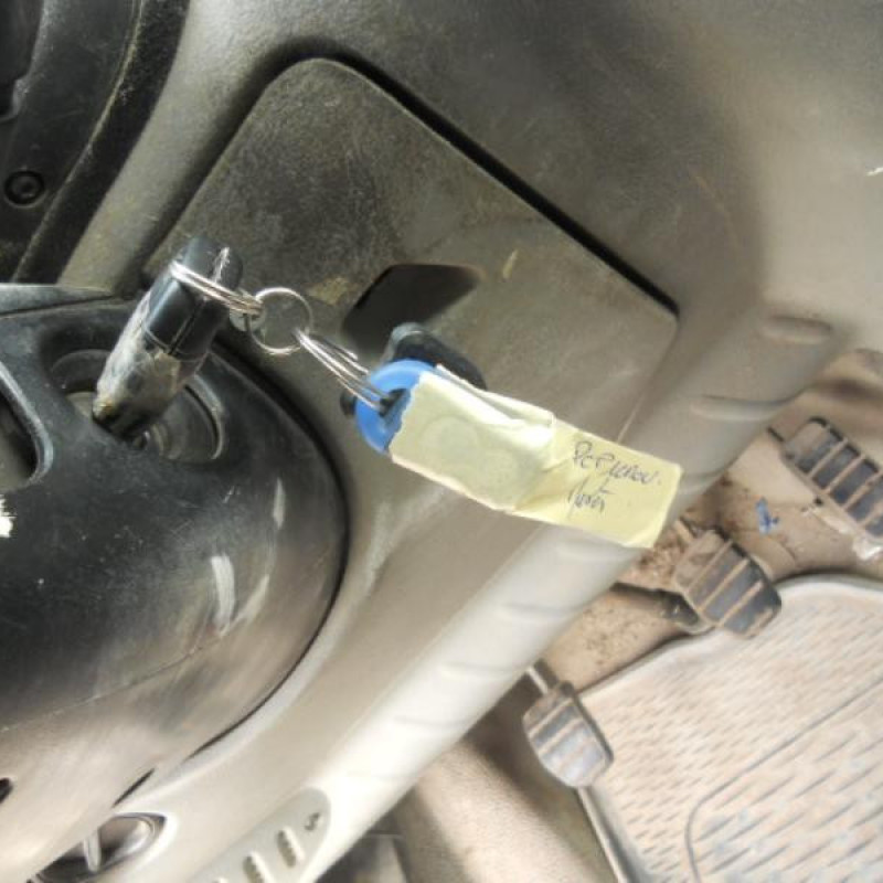 Porte avant droit NISSAN INTERSTAR 1 Photo n°15