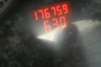 Porte avant droit NISSAN INTERSTAR 1