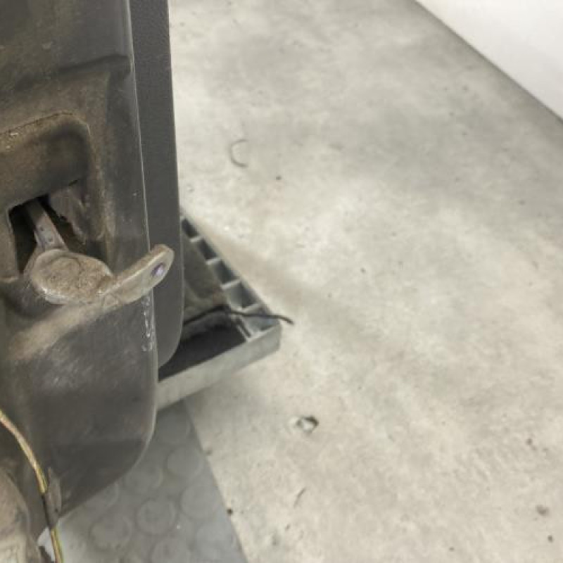 Porte arriere droit DACIA SANDERO 1 Photo n°5