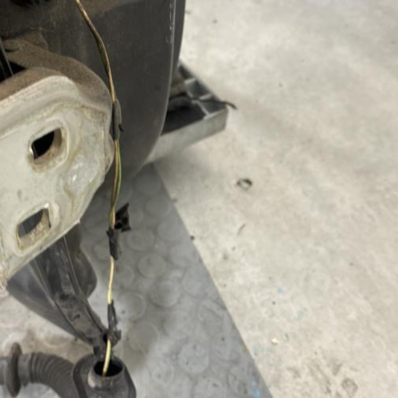 Porte arriere droit DACIA SANDERO 1 Photo n°6