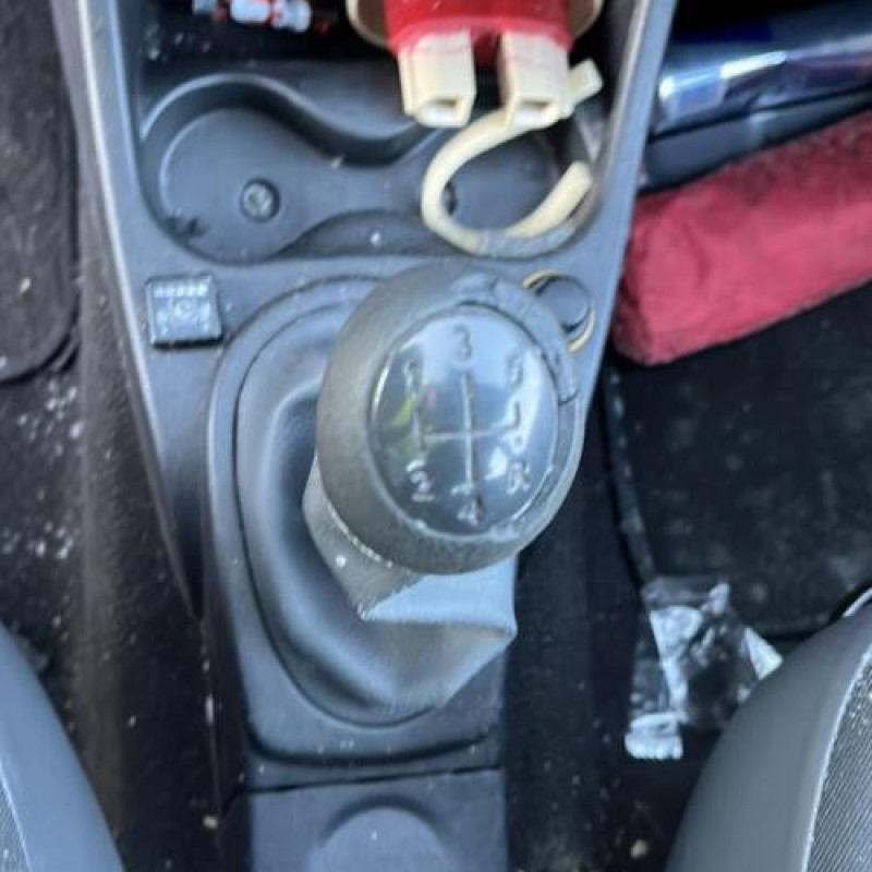 Porte arriere droit DACIA SANDERO 1 Photo n°8