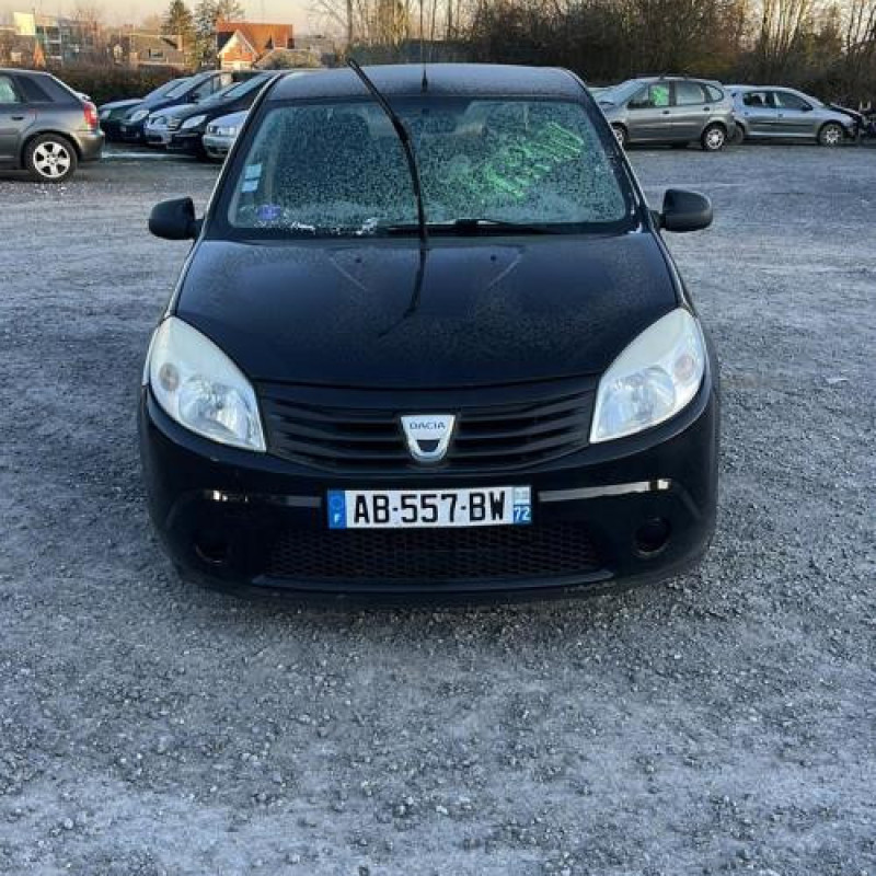 Porte arriere droit DACIA SANDERO 1 Photo n°10