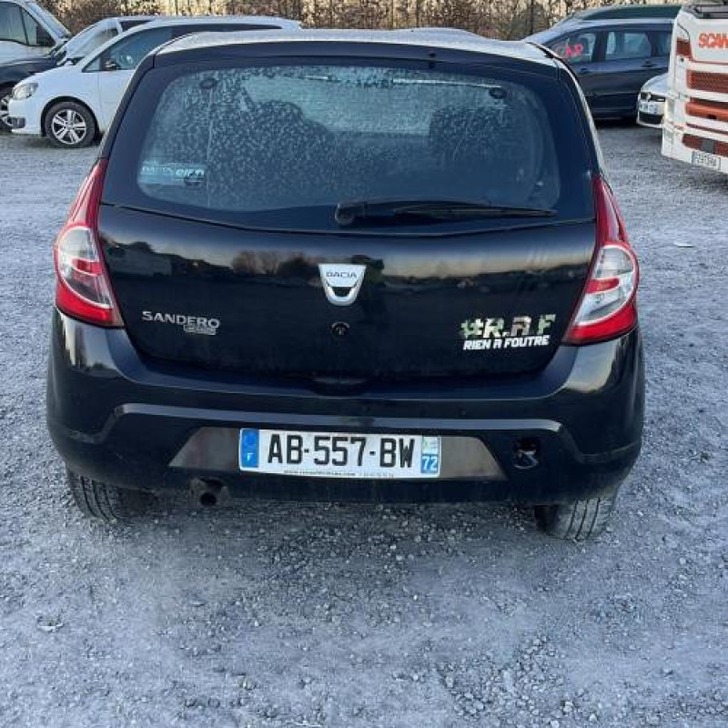 Porte arriere droit DACIA SANDERO 1 Photo n°11