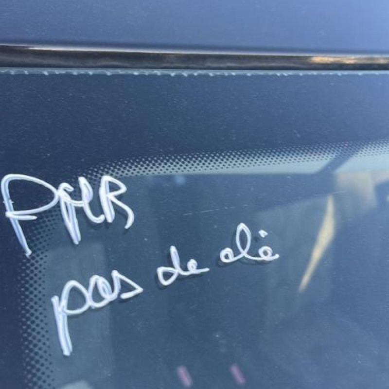 Porte arriere droit DACIA SANDERO 1 Photo n°17