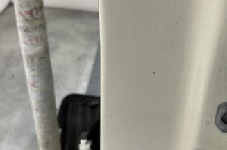 Porte arriere gauche RENAULT CAPTUR 1