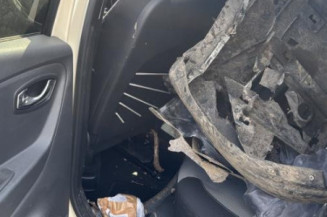 Porte arriere gauche RENAULT CAPTUR 1