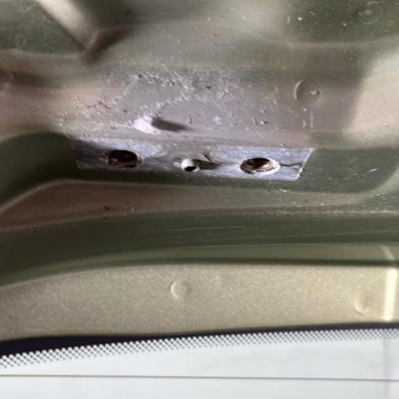 Malle/Hayon arriere RENAULT MODUS Photo n°6