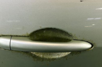 Porte arriere droit RENAULT MODUS