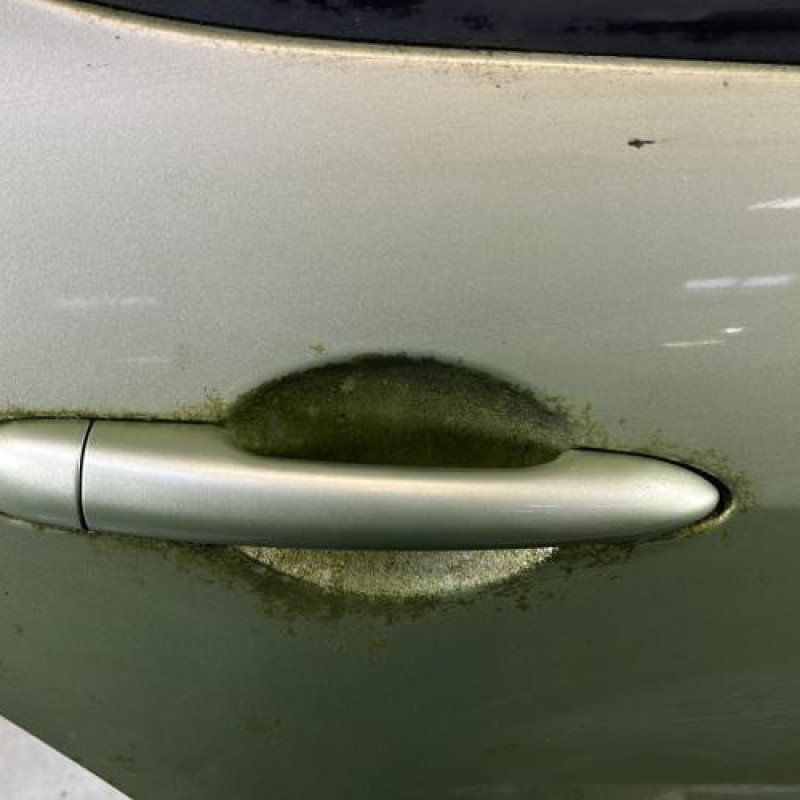 Porte arriere droit RENAULT MODUS Photo n°2