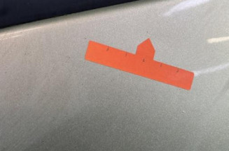 Porte arriere gauche RENAULT MODUS