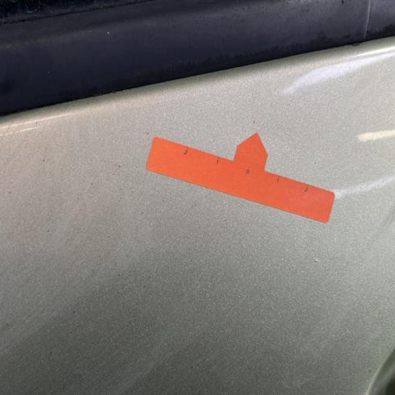 Porte arriere gauche RENAULT MODUS Photo n°3