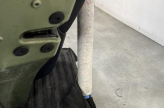 Porte arriere gauche RENAULT MODUS