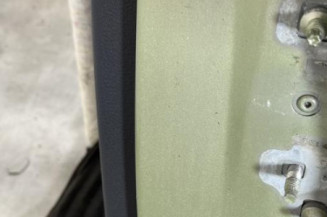 Porte arriere gauche RENAULT MODUS