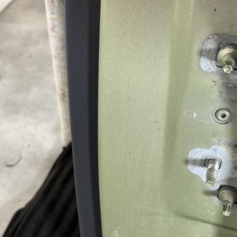 Porte arriere gauche RENAULT MODUS Photo n°5