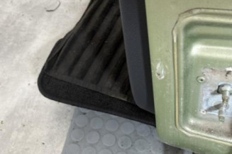 Porte arriere gauche RENAULT MODUS