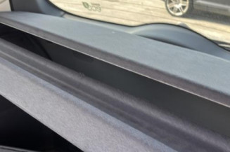 Porte arriere gauche RENAULT MODUS