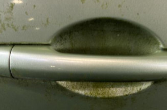 Porte avant droit RENAULT MODUS