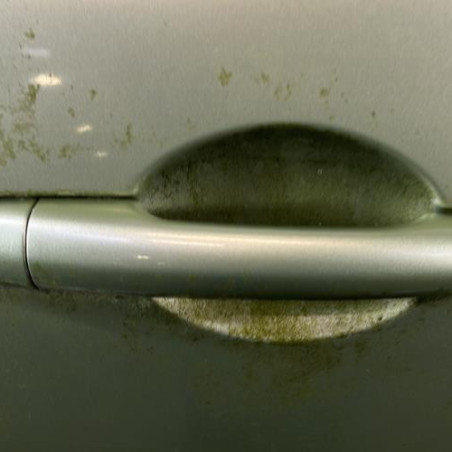 Porte avant droit RENAULT MODUS