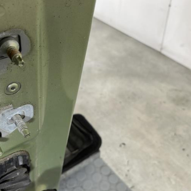 Porte avant droit RENAULT MODUS Photo n°4