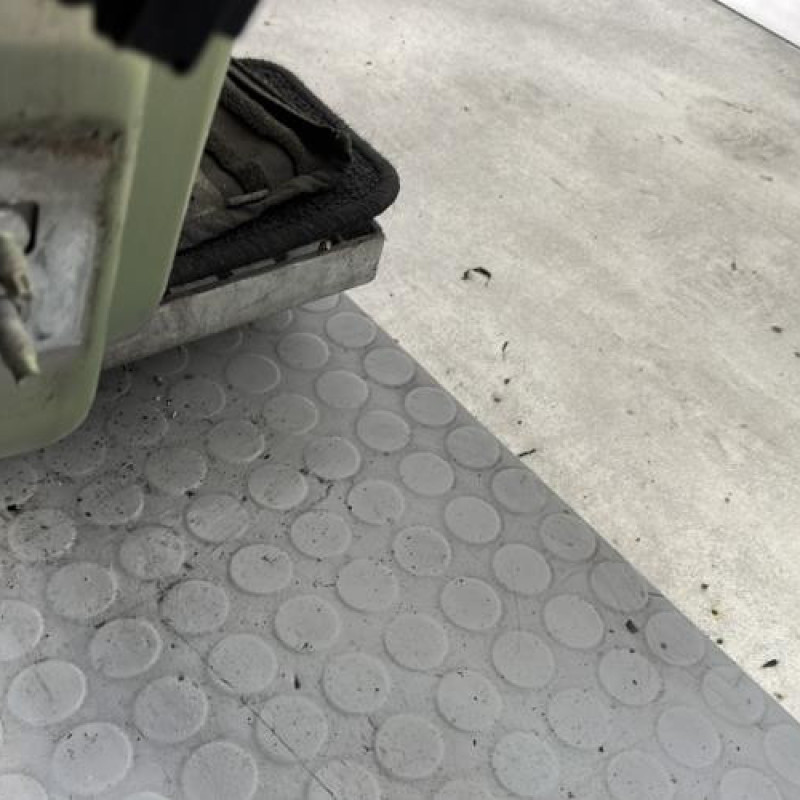 Porte avant droit RENAULT MODUS Photo n°5