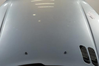 Capot PEUGEOT 206 Photo n°1