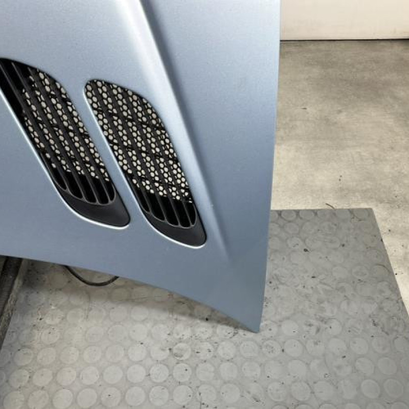 Capot PEUGEOT 206 Photo n°4