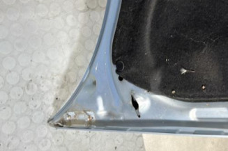 Capot PEUGEOT 206