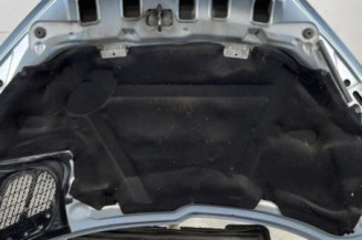 Capot PEUGEOT 206