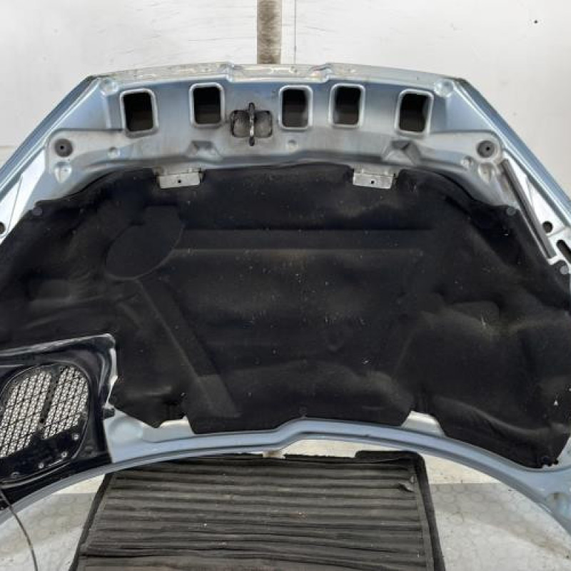 Capot PEUGEOT 206 Photo n°9