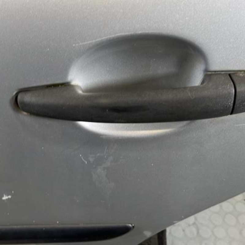 Porte arriere gauche PEUGEOT 207 Photo n°2